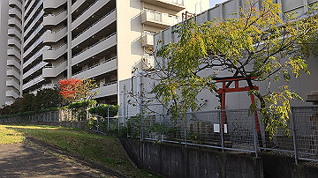 img_6496_thumb.jpg