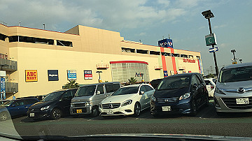 img_6503_thumb.jpg