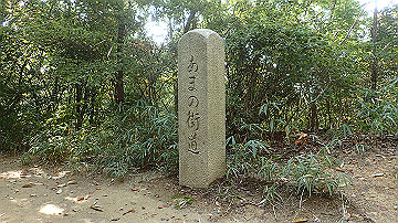 pb170537_thumb.jpg