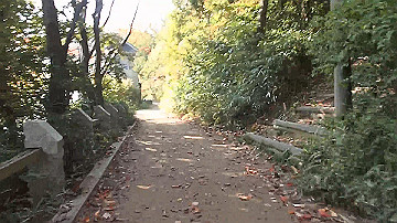 pb170542_x264.mp4_thumb.jpg