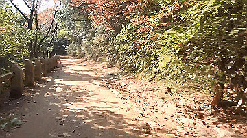 pb170543_x264.mp4_thumb.jpg