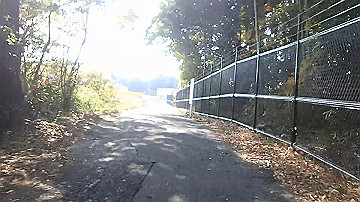 pb170544_x264.mp4_thumb.jpg
