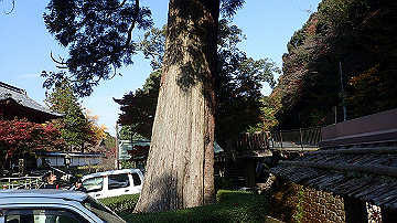 pb170576_thumb.jpg