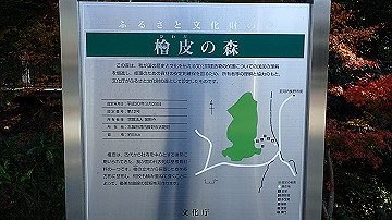 pb170577_thumb.jpg