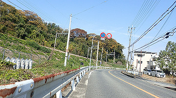 pb170588_thumb.jpg