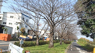 pb170594_x264.mp4_thumb.jpg