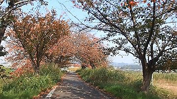 pb170600_x264.mp4_thumb.jpg