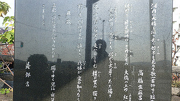 pb170609_thumb.jpg