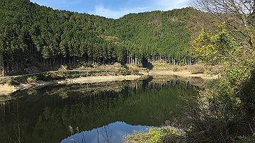 img_6646_thumb.jpg