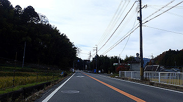 pb300668_thumb.jpg