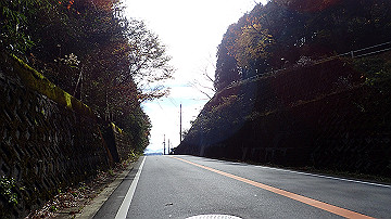 pb300672_thumb.jpg