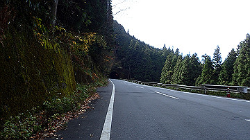 pb300680_thumb.jpg