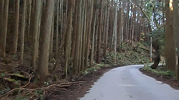 pb300687_x264.mp4_thumb.jpg