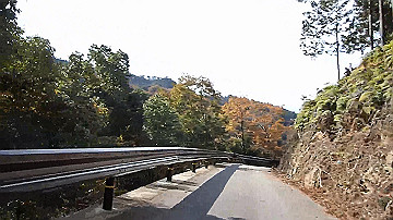 pb300695_x264.mp4_thumb.jpg