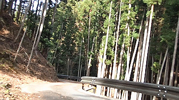 pb300696_x264.mp4_thumb.jpg