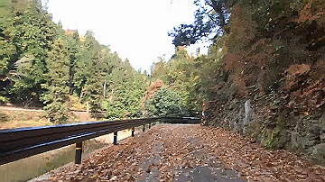 pb300697_x264.mp4_thumb.jpg