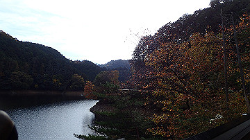 pb300702_thumb.jpg