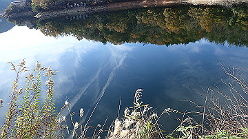pb300705_thumb.jpg