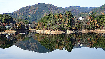 pb300711_thumb.jpg