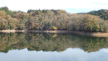 pb300717_thumb.jpg