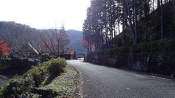 pb300729_thumb.jpg