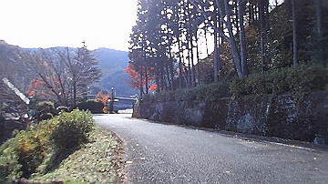 pb300730_x264.mp4_thumb.jpg