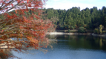 pb300734_thumb.jpg