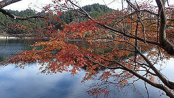 pb300744_thumb.jpg