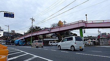 pb300766_thumb.jpg