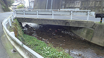 pc040906_thumb.jpg