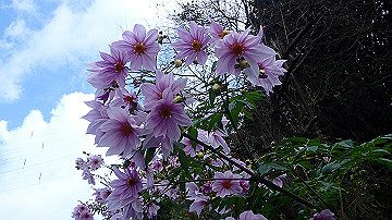 pc040909_thumb.jpg