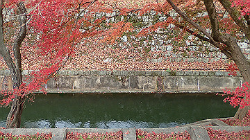 pc040930_thumb.jpg