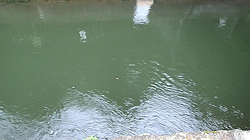 pc040934.mov_thumb.jpg