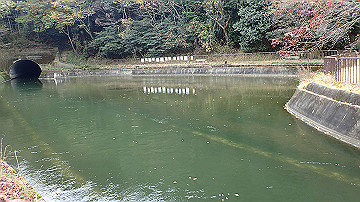 pc040941_thumb.jpg