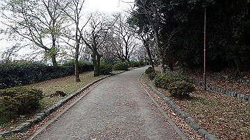pc040947_thumb.jpg