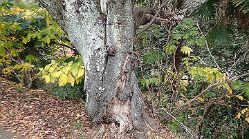 pc040983_thumb.jpg