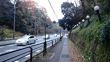 pc041042_thumb.jpg