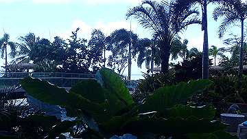 pc110081_thumb.jpg
