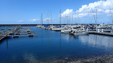 pc110094_thumb.jpg