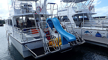 pc110100_thumb.jpg