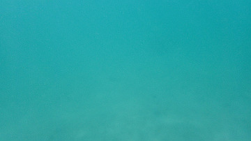 pc110164_thumb.jpg