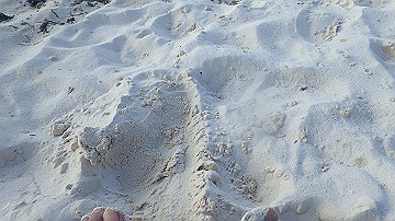 pc110165_thumb.jpg