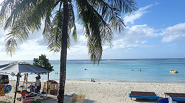 pc110183_thumb.jpg