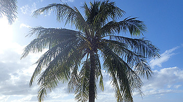 pc110184_thumb.jpg