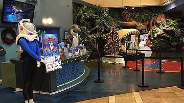 img_6923_thumb.jpg