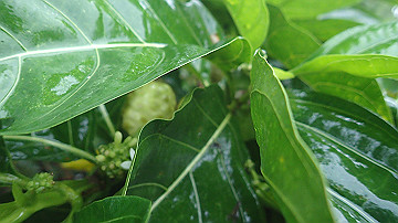 pc120206_thumb.jpg