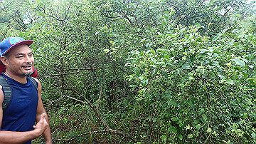 pc120213_thumb.jpg