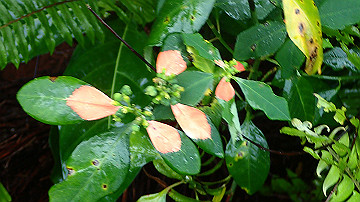pc120218_thumb.jpg