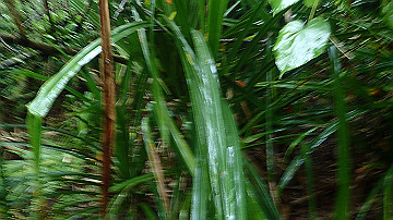 pc120227_thumb.jpg