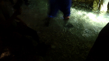 pc120254_thumb.jpg